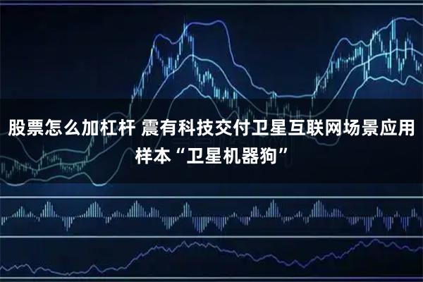股票怎么加杠杆 震有科技交付卫星互联网场景应用样本“卫星机器狗”