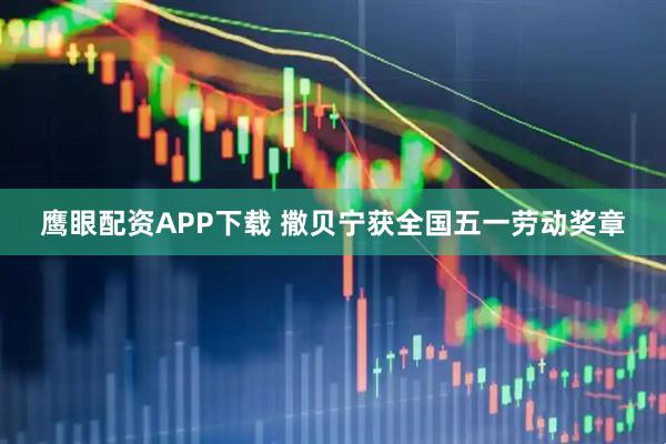 鹰眼配资APP下载 撒贝宁获全国五一劳动奖章