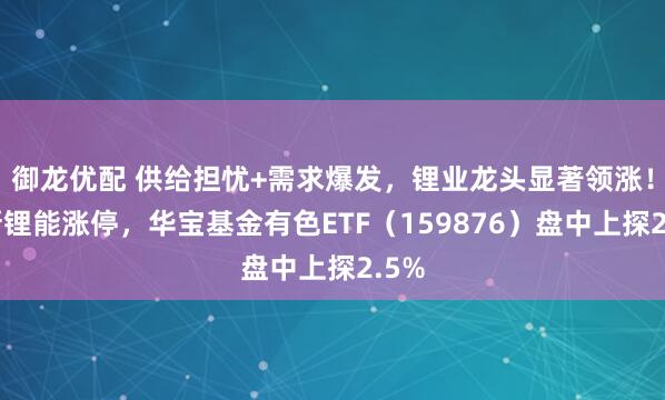 御龙优配 供给担忧+需求爆发，锂业龙头显著领涨！盛新锂能涨停，华宝基金有色ETF（159876）盘中上探2.5%